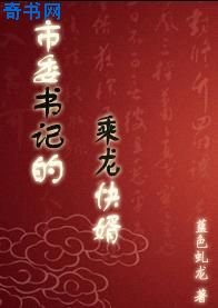 市委书记的乘龙快婿
