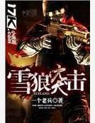 《雪狼突击》
