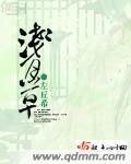 《浅月草》