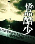 极品酷少