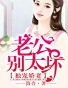 《独宠娇妻:老公,别太坏》