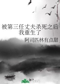 被第三任丈夫杀死之后我重生了 