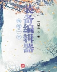 《我有一个装备编辑器》