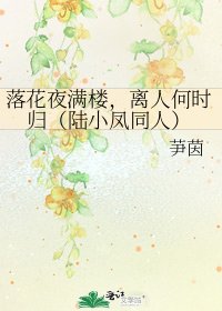 《落花夜滿樓,離人何時歸(陸小鳳同人)》