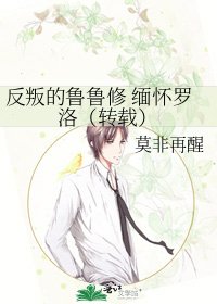 《反叛的鲁鲁修 缅怀罗洛(转载)》