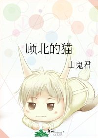 顾北的猫