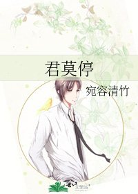 《君莫停》