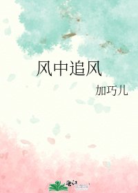 风中追风