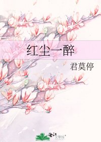 《红尘一醉》