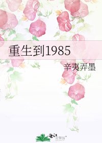 《重生到1985》