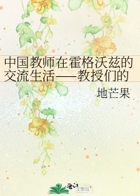《中国教师在霍格沃兹的交流生活——教授们的教学生活》