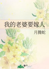 《我的老婆要嫁人》