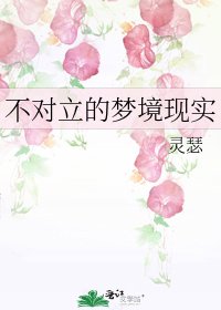 《不對立的夢境現實》