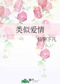 《类似爱情》