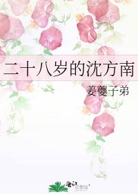 二十八歲的沈方南