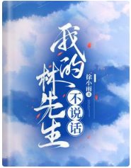 我的林先生不說話