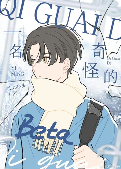 《一名奇怪的beta》